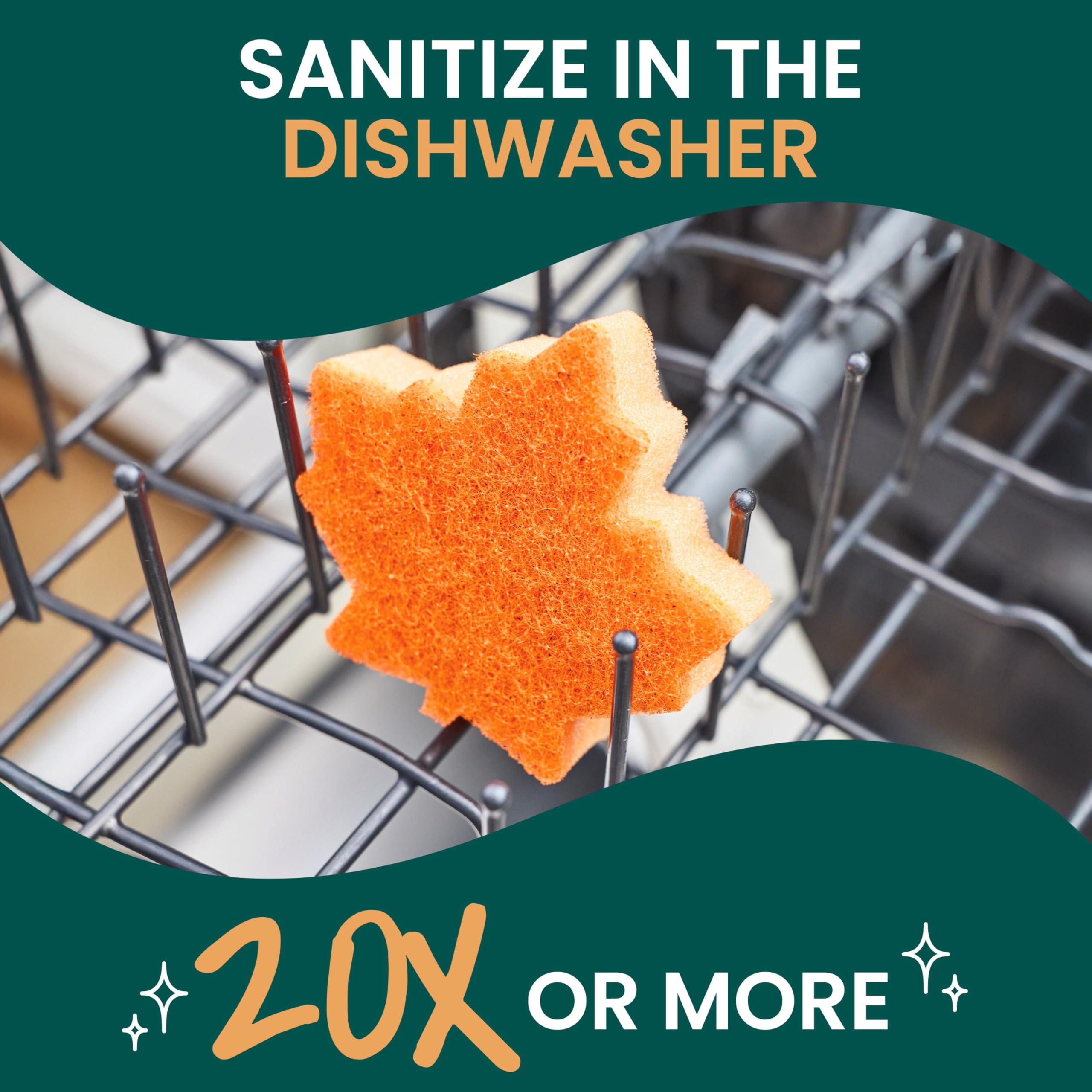 Scotch-Brite Leafy Clean Scrub Sponge, Two-Sided Kitchen Sponges for Cleaning Effectively, Leaf Shaped Dish Sponges with 100% Recycled Scrubbing Fibers, 1 Scrubbing Sponge - Image 6