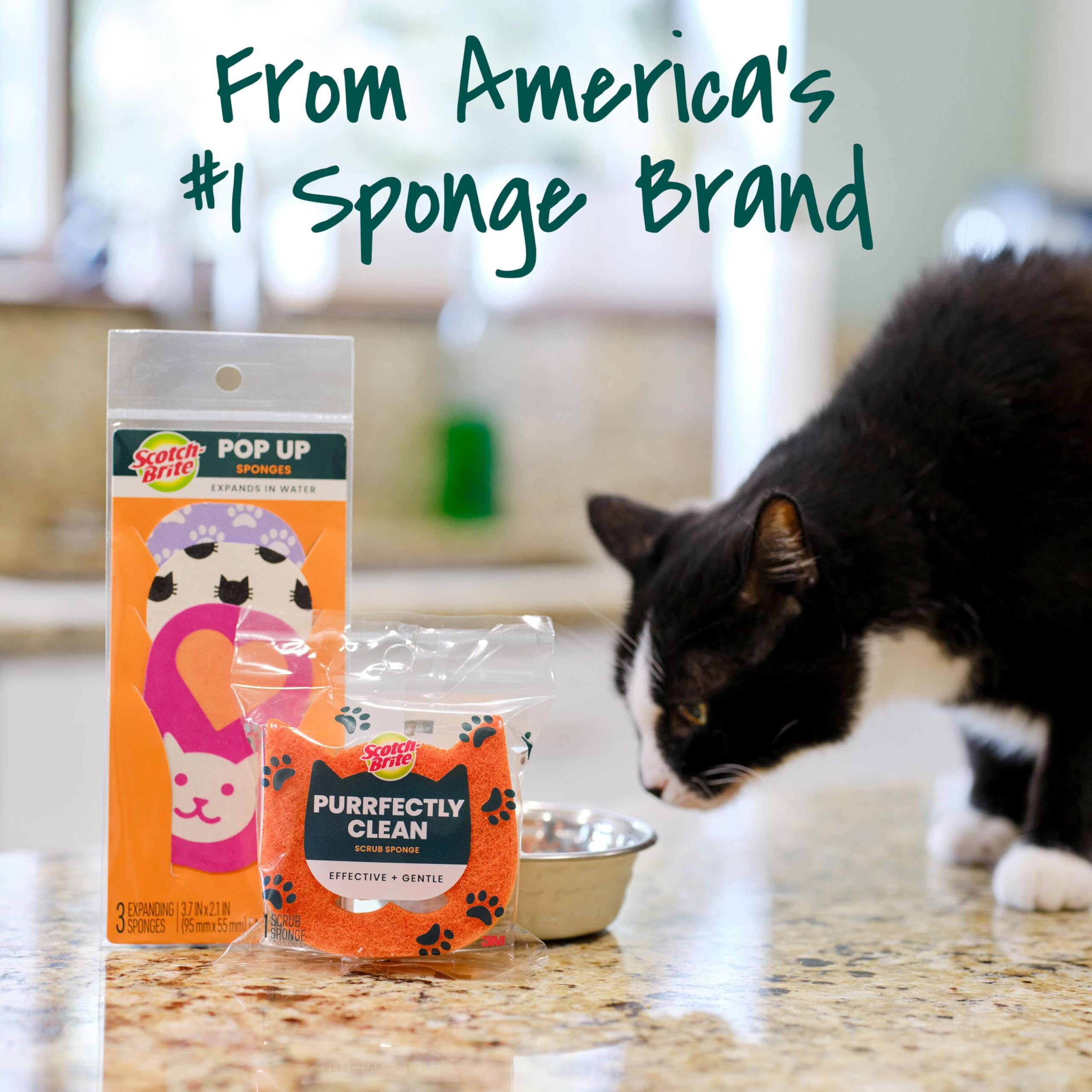 Scotch-Brite Purrfectly Clean Non-Scratch Scrub Sponge, Two- Sided, Limited Edition, 1 Sponge - Image 8